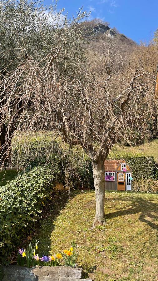 Few Steps To The Heart Of Menaggio, Swimming Pool, Breathtaking View Apartment Exterior photo